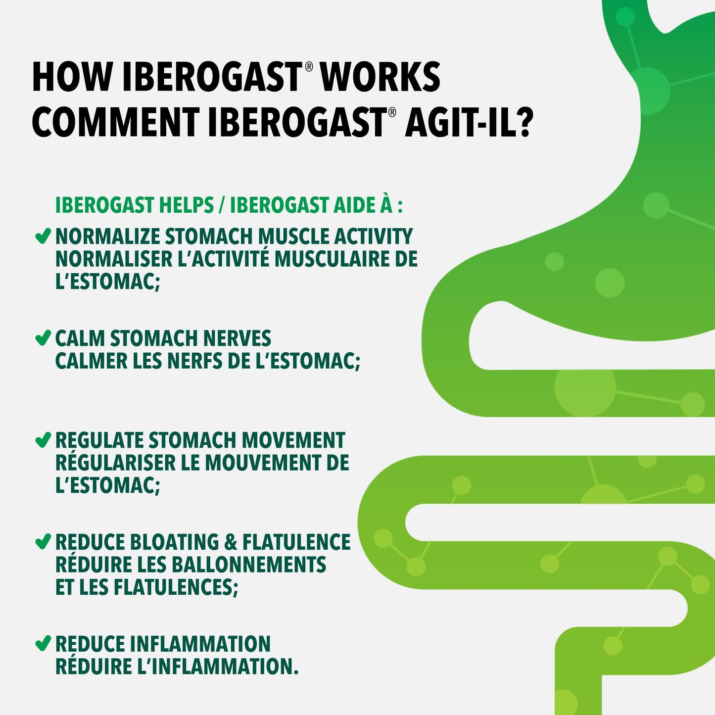 Iberogast Digestive Relief Liquid Drops | Fast-Acting Herbal Supplement for IBS, Bloating, Gas & Stomach Pain (100 ml)