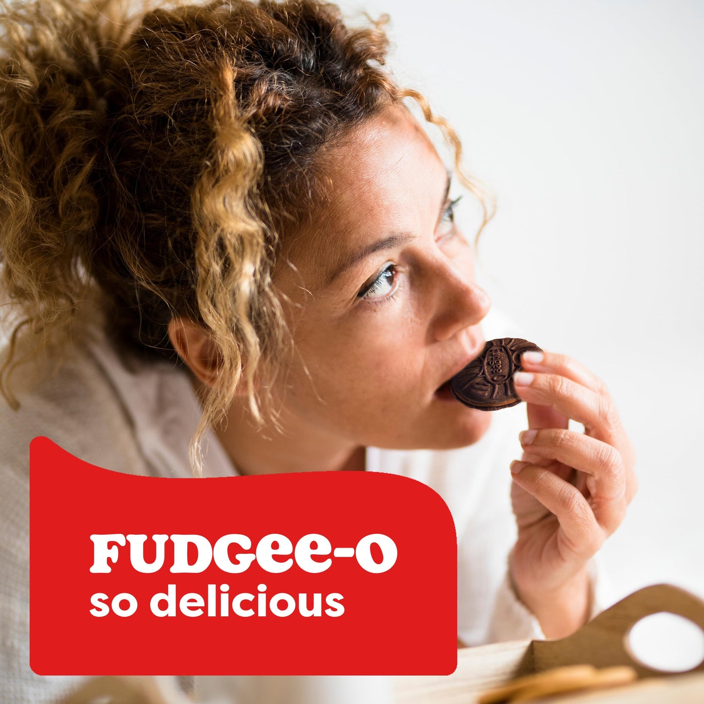 FudgeeO Original Double Chocolate Sandwich Cookies | 10.68 oz