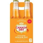 Canada Dry Peach Mango Ginger Ale - 4 Pack Cans, 12 Fl Oz Each