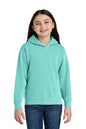 Comfort Colors® Youth Lightweight Hooded Sweatshirt 1467Y