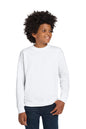 Gildan® Youth Heavy Blend™ Crewneck Sweatshirt.  18000B