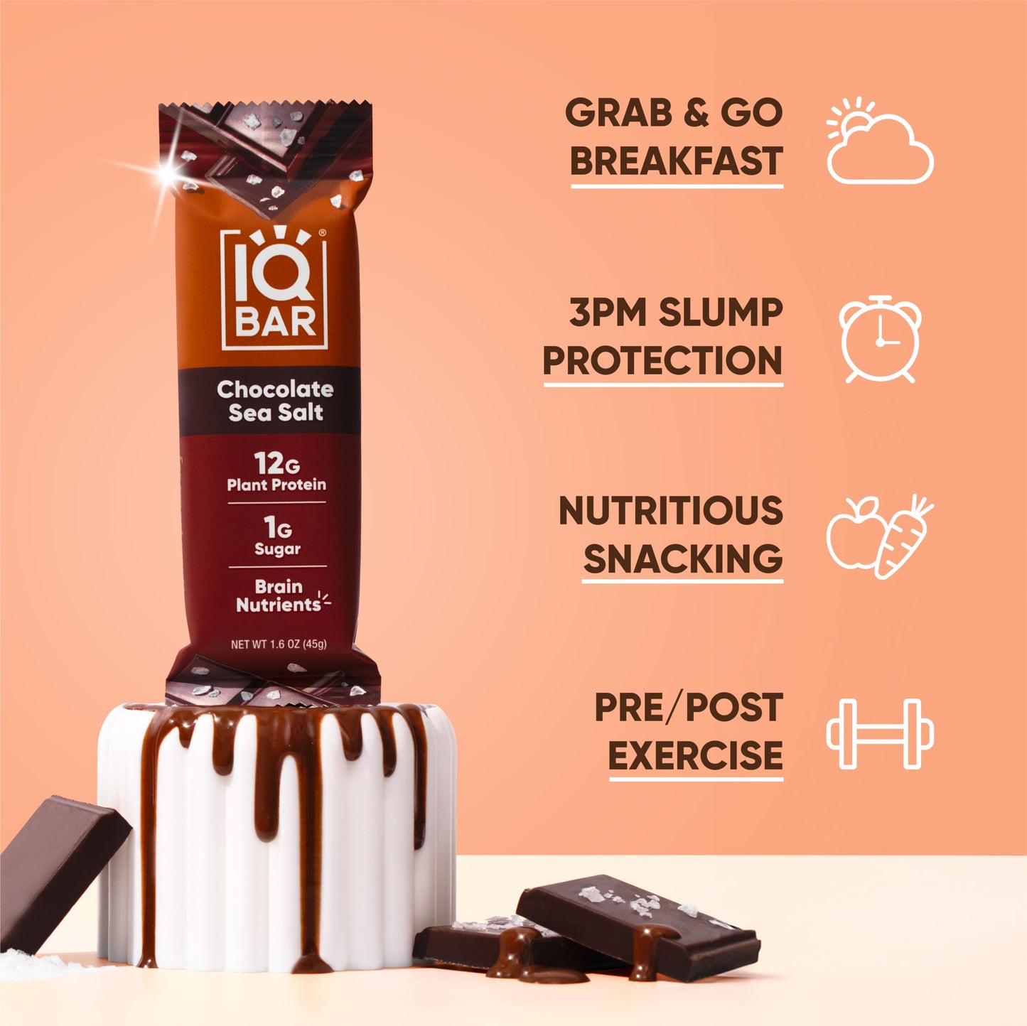 IQBAR Chocolate Sea Salt Protein Bars – 12-Count | Low Carb, Keto, Vegan Snacks for Brain & Body
