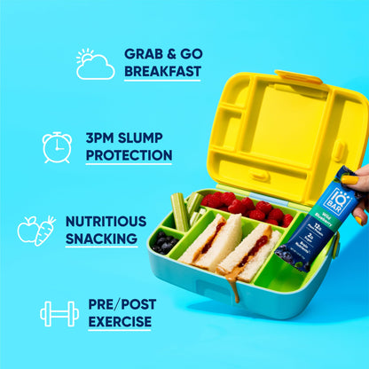 IQBAR Wild Blueberry Protein Bars – 12-Pack Keto, Vegan, Paleo Brain Food