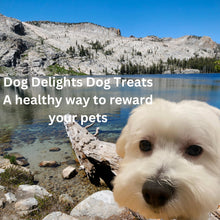 Dog Delights Beef Tendersticks | Single Ingredient All Natural Dog Treats | No Additives, High Protein | 600g (21oz)
