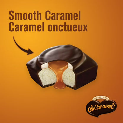 Ah Caramel Snack Cakes Box – 336g
